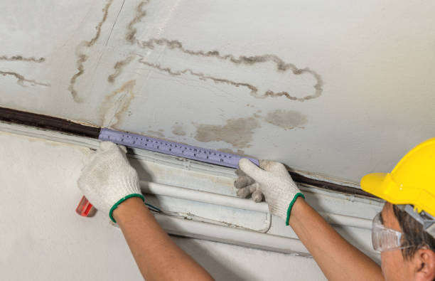 Reliable Mold Remediation contractor in Monmouth Junction, NJ by Water Damage Irwin